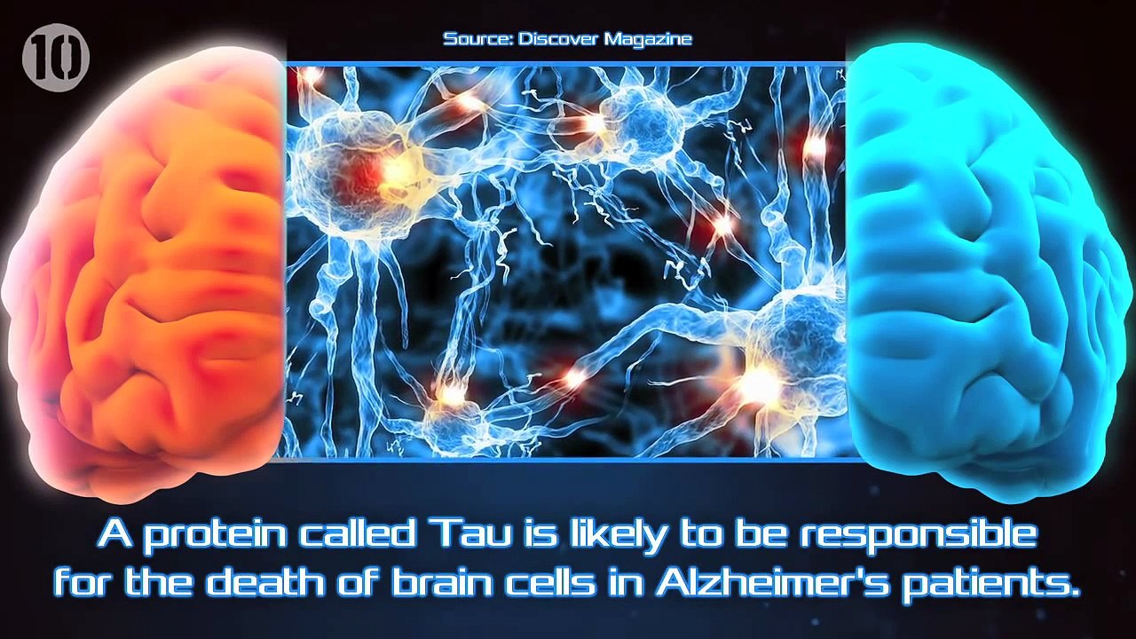 10 Unsolved Mysteries Of The Brain