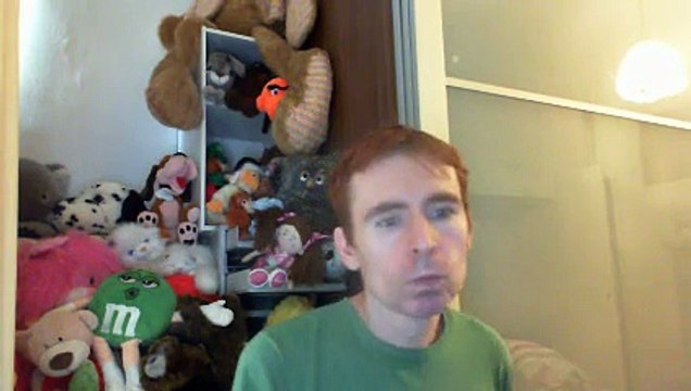 Wiwi égratigne sleep now in the fire de Rage Against The Machine