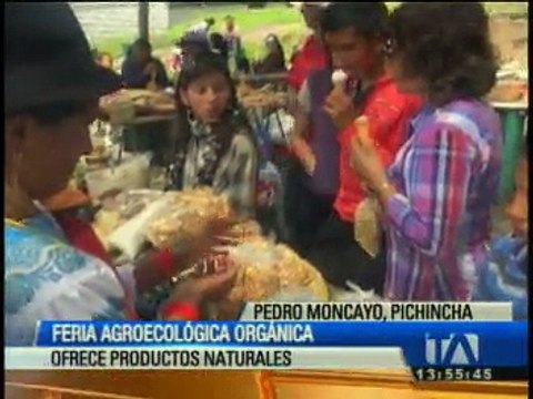 Feria agroecológica ofrece productos 100% naturales