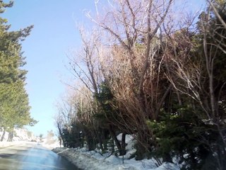 Parnitha Mt -Athens Greece