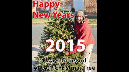 4 ways to get rid of a christmas tree