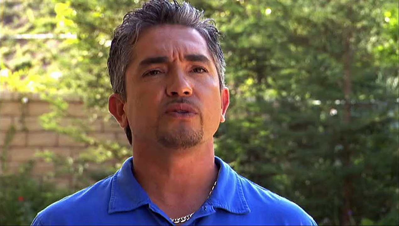 Köpeklere Fısıldayan Adam: Israrcı Paşa ve Hamile Cosmo