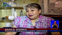 Pareja indignada por muerte de su mascota en peluquería canina - CHV Noticias