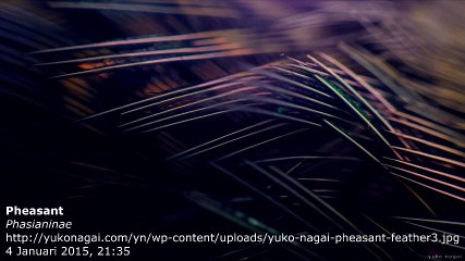 Modul Estetika Dasar 2014