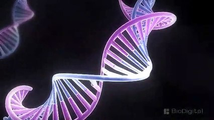 3D Medical Animation - What is Cancer