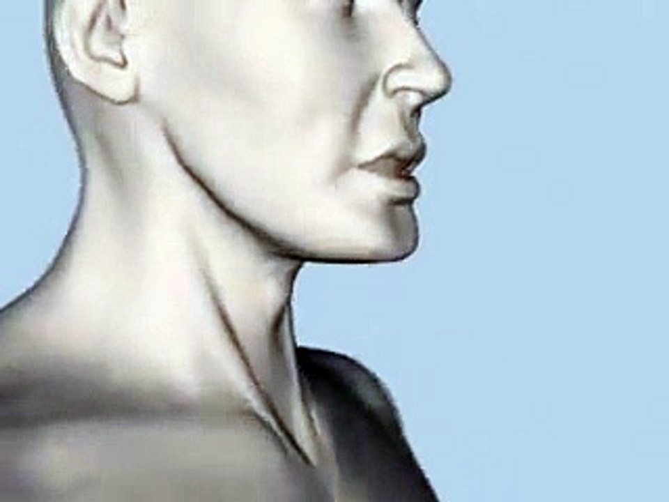 3D_LMA_animation.wmv