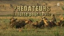 Prédateurs , la lutte pour la vie