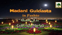 Promo - Dubbing Madani Guldastay Dawateislami Ki Website Per