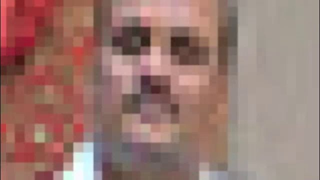 Le classiques - Musique- Les Animaux