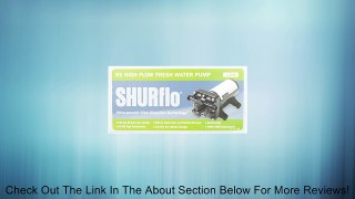 Shurflo 4048153E75 Electric Water Pump Review