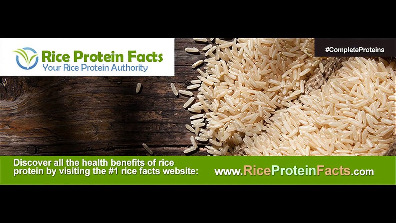 Rice Protein Powder