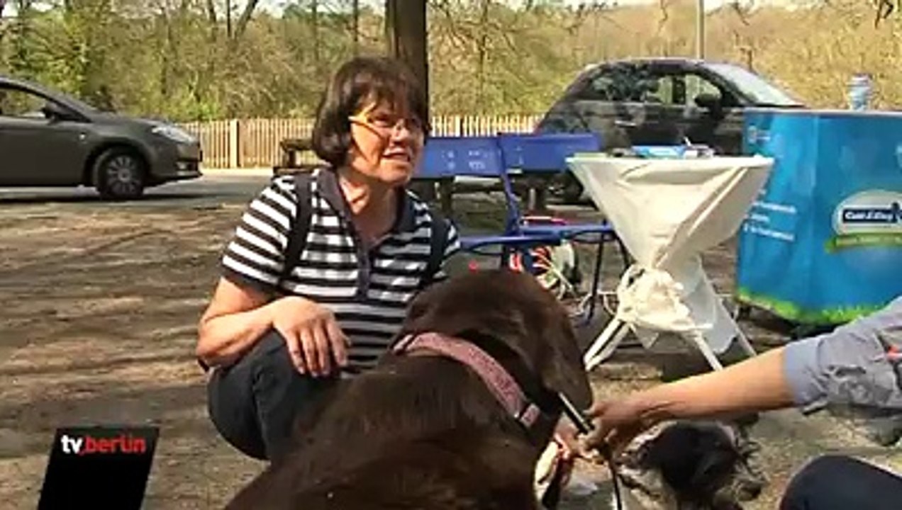Hundeeisverkostung am Grunewaldsee Berlin 2013 tv.berlin