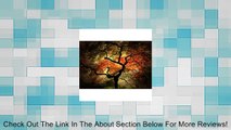 Trademark Fine Art Japanese Tree by Philippe Sainte-Laudy Canvas Wall Art Review