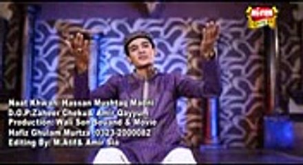 Lajpal muhammad aa gaya  by Hassan Mushtaq Madni