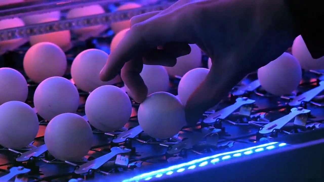 balles de ping-pong sur des pièges à souris