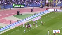 اهداف مباراة السعودية وقطر 1-2 - الاهداف كاملة (نهائى خليجى 22) HD