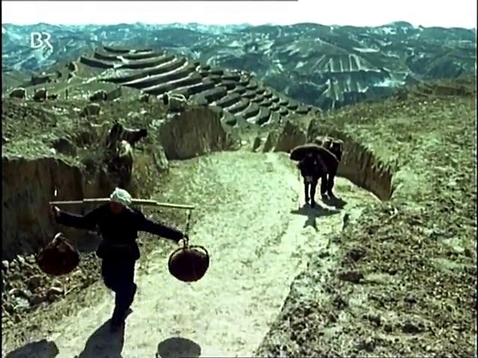 Träume der Drachenkinder