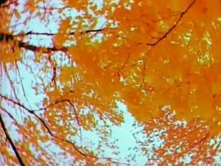 Ералаш. Выпуск 151 (2002)