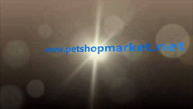 hindi suluğu fiyatları,hindi sulukları fiyatı,hindi sulukları fiyatları,hindi suluk fiyatı,hindi suluk fiyatları,hindi suluğu satış