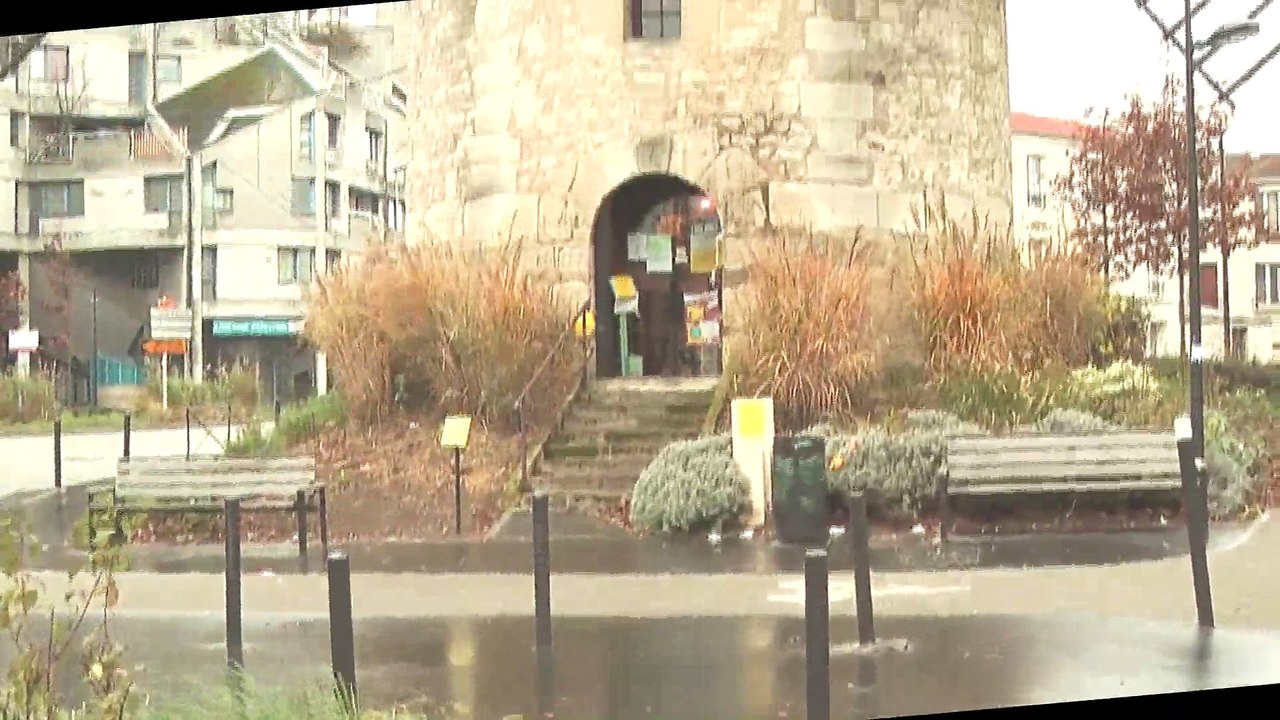 Téléthon 2014 - Ivry sur Seine - Moulin