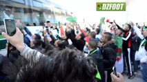 Supporters algériens : 