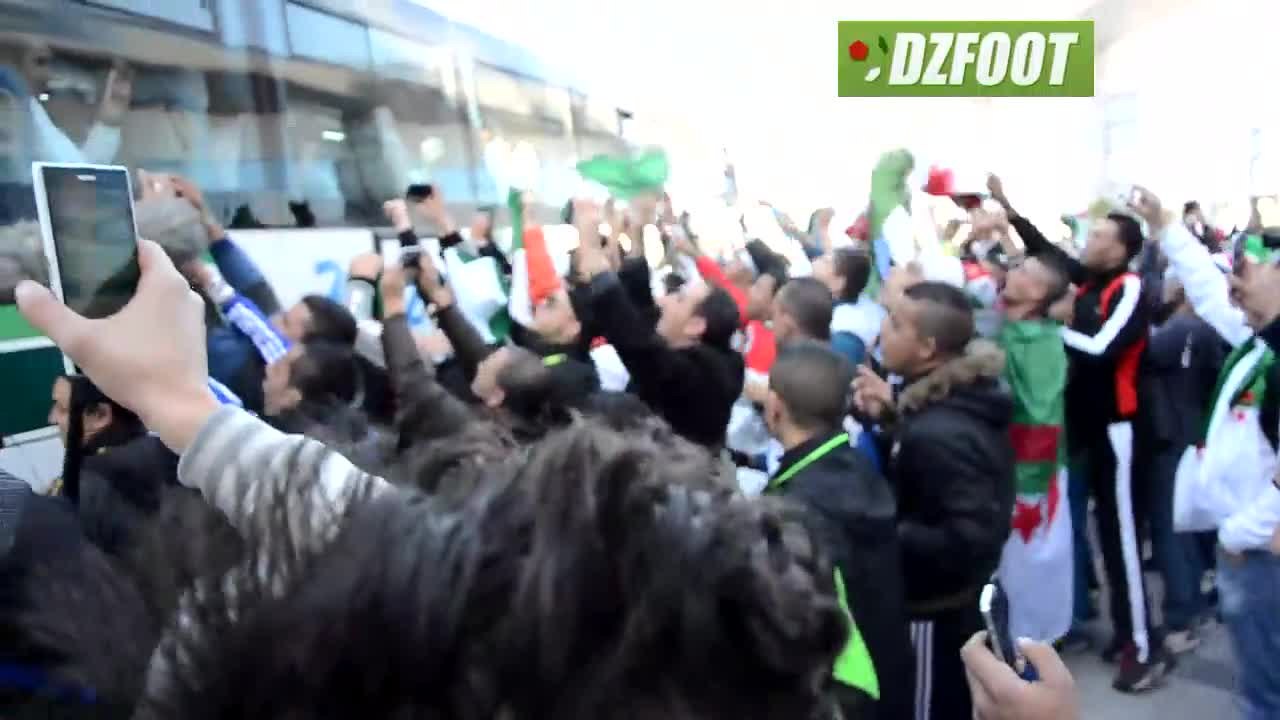 Supporters algériens : "Cha3b yourid la Coupe d'Afrique !"