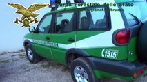 Abruzzo - Rifiuti, maxi operazione della Forestale 18 denunce (08.01.15)