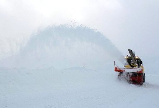 Trabzon'da Çığ Düştü: 1 İşçi Öldü, 4 İşçi Kar Altında