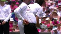 Aleem Dar takes incredible catch