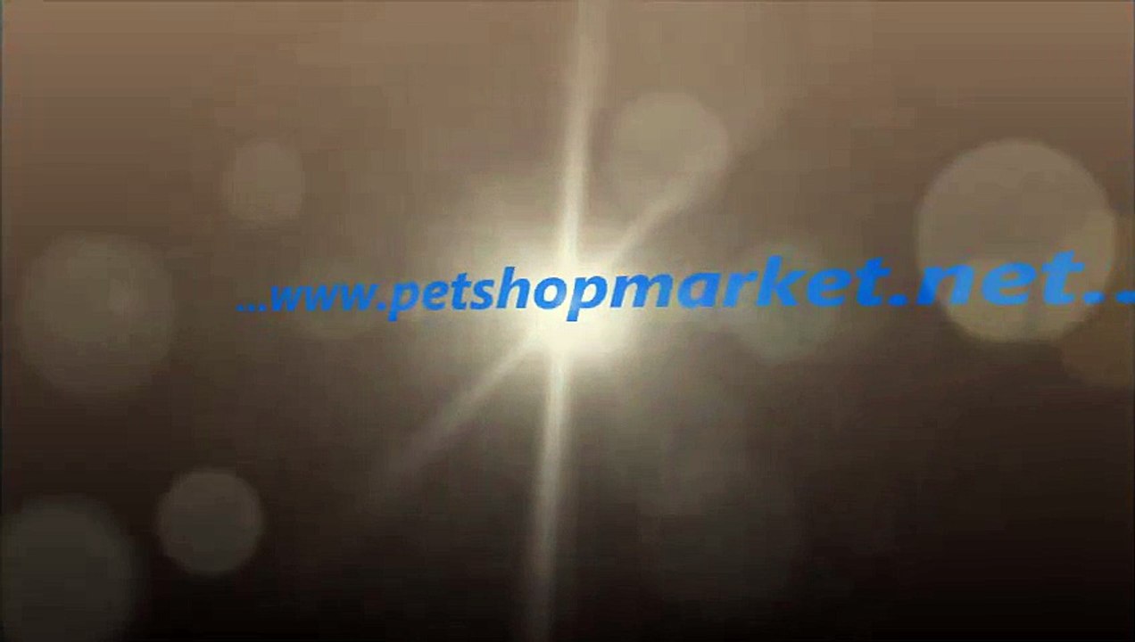 KÖPEK AĞIZLIĞI SATIŞI,KÖPEK AĞIZLIK,KÖPEK AĞIZLIK FİYATLARI,KÖPEK AĞIZLIK FİYATI,KÖPEK AĞIZLIK SATIŞI