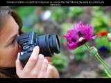 My Camera Biz Reviews – How to Earn Extra Income From Your Hobby