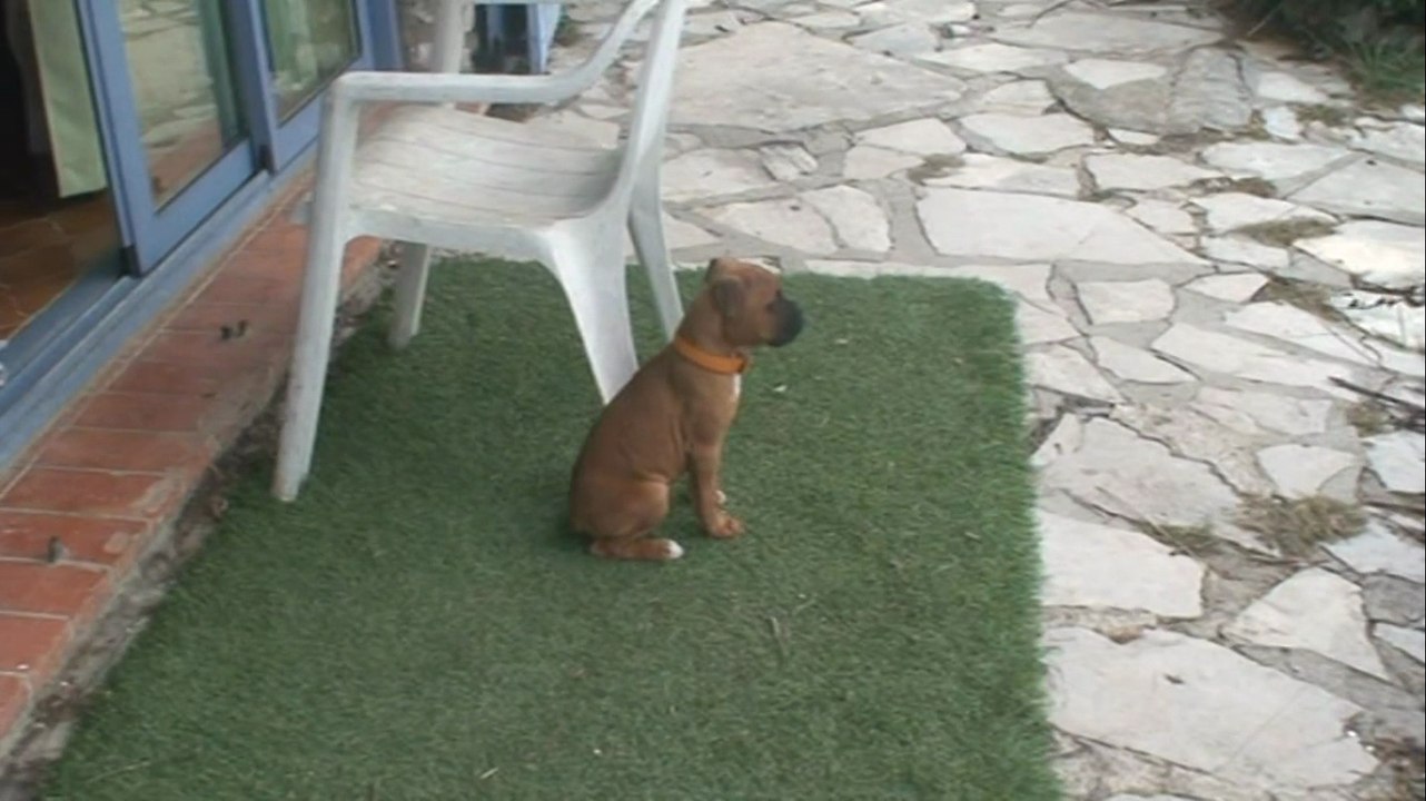 FUNKY ET JOYCE- 5 ET 10 JANVIER 2015