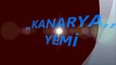 Kanarya yemi,kanarya yemleri,kanarya yemi fiyatları,kanarya yemi fiyatı,kanarya yemleri fiyatı,kanarya yemleri fiyatları