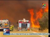 Incendios forestales continúan azotando a Australia