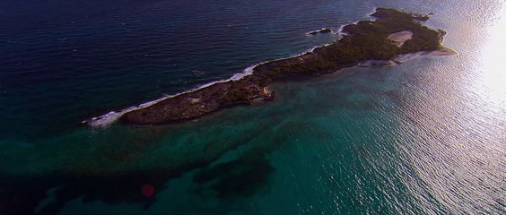 Gulliver's Travels _ Trailer _ 20th Century FOX