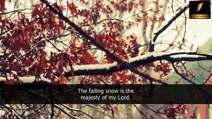 Bayana on Allah Swt by Maulana Tariq Jameel Sahab