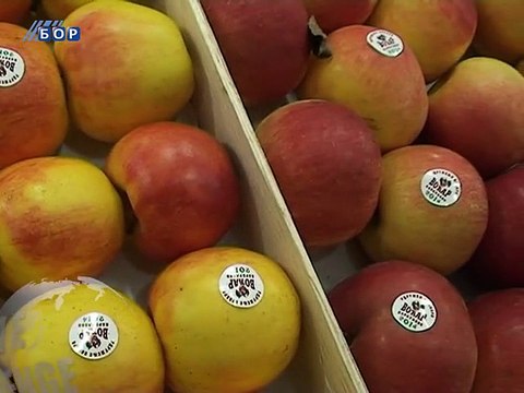 Sa e romange (Vesti na romskom jeziku), 10. januar 2015. (RTV Bor)