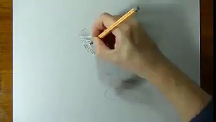 Awesome Drawing That looks absolutely Real