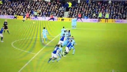 Steven Naismith Goal - Everton 1-1 Manchester City (10-1-2015)