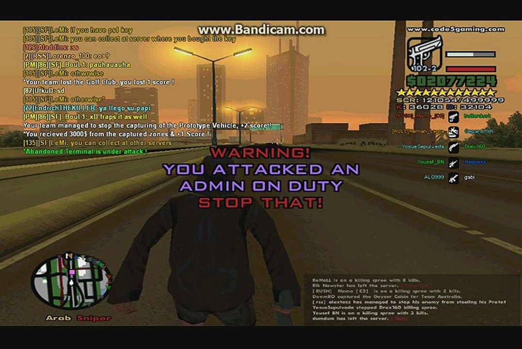 Damage Bug