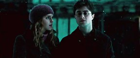 Harry Potter and the Deathly Hallows - Part 1_ Now Playing #3