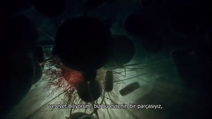 ASTROFİZİKÇİDEN HAYAT DERSİ (ALTYAZILI)
