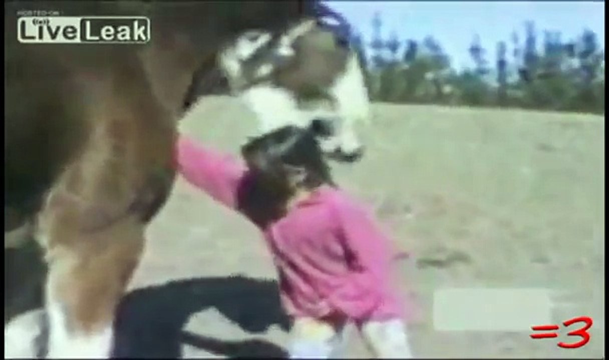 HORSE BITES GIRL'S HEAD!! video Dailymotion