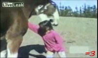 HORSE BITES GIRL'S HEAD!!