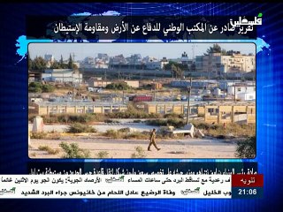 نشرة التاسعة  من تلفزيون فلسطين - 10/1/2015