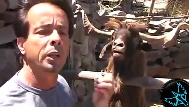 Hayvanlar vs insanlar - Komik Video Derlemesi