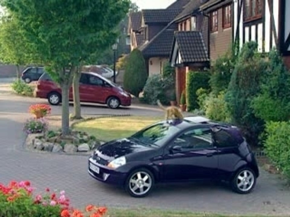 Pub Interdite En France Ford Ka-Chat