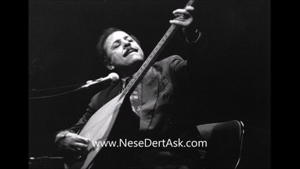 Neşet Ertaş - Görmedim Anam Anam
