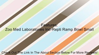 Reptile Ramp Bowl Size: Small (8' H x 11' W x 15