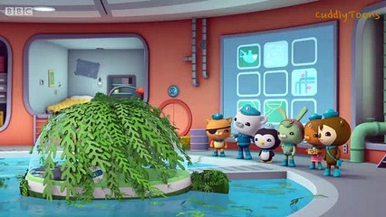 The Octonauts and the Leafy Sea Dragons (Series 2 Episode 18)